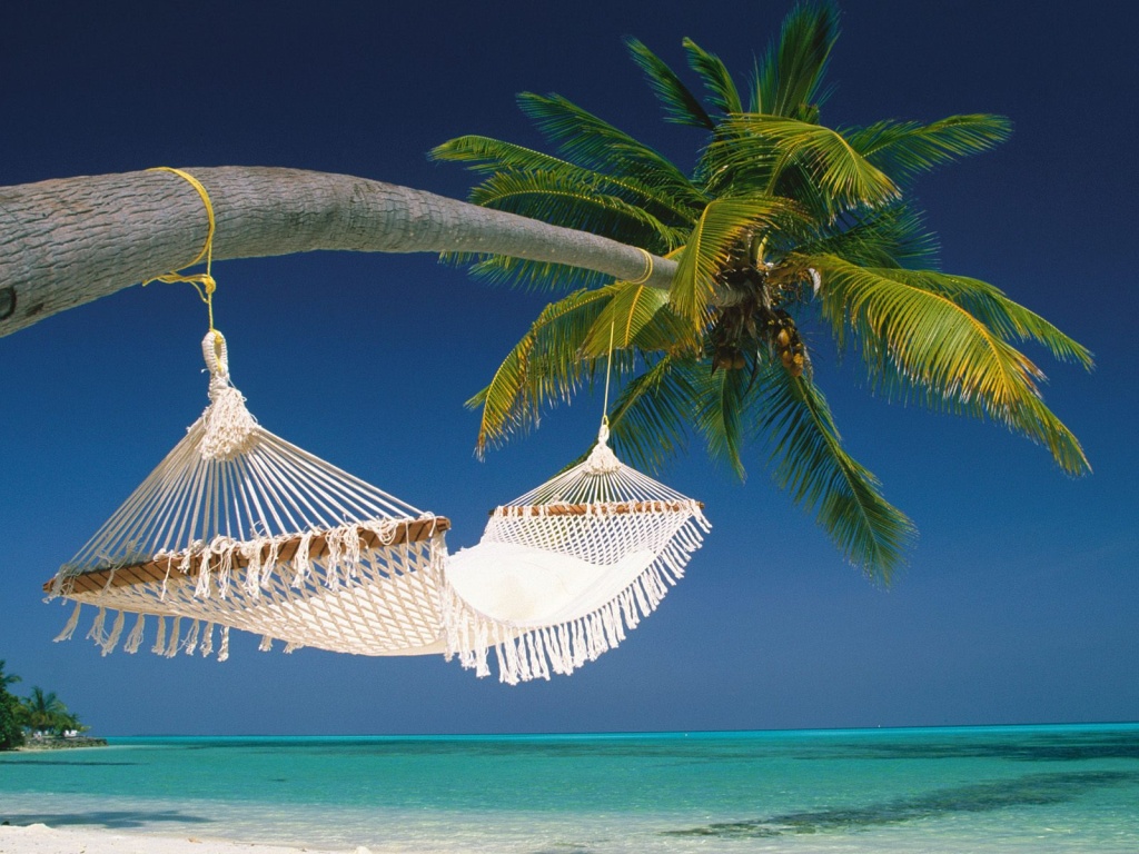 hammock-1.jpg