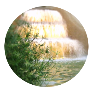 Fountain1 circle Fountain1 circle