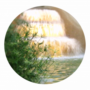 cropped-Fountain1-circle.png cropped-Fountain1-circle.png